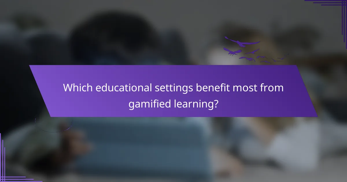 Which educational settings benefit most from gamified learning?